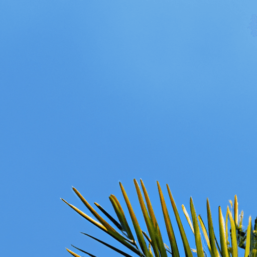 Mengenal Sinar Biru dan Efeknya terhadap Kesehatan Mata